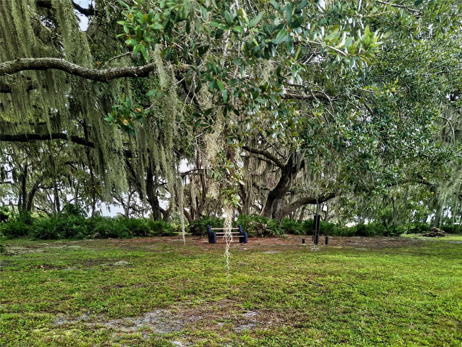 Relaxing Nature Trails on the Island. - 4409 CLUB CIR, LAKE WALES