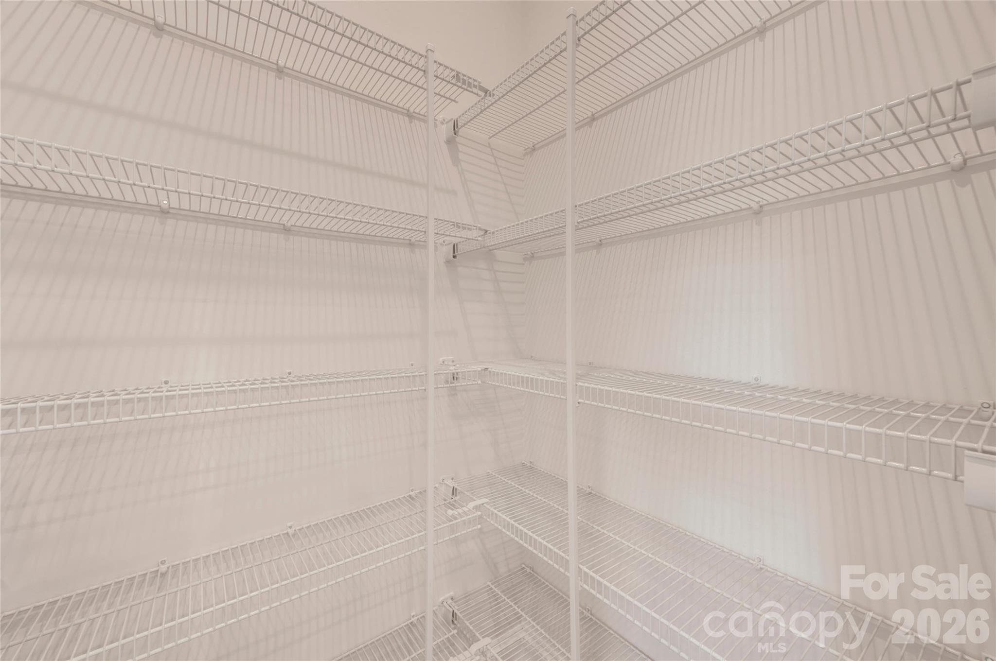 Walk-in Pantry - Charlotte