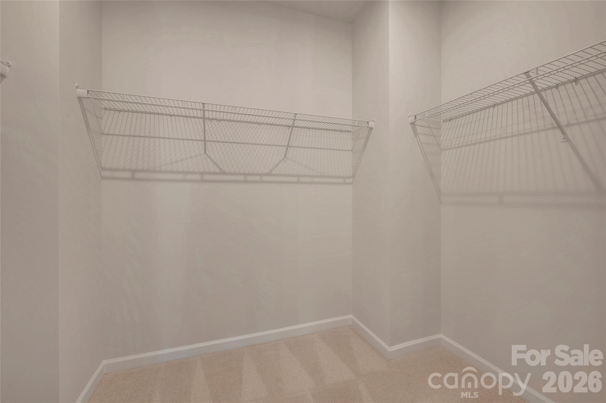 Primary walk-in closet - Charlotte