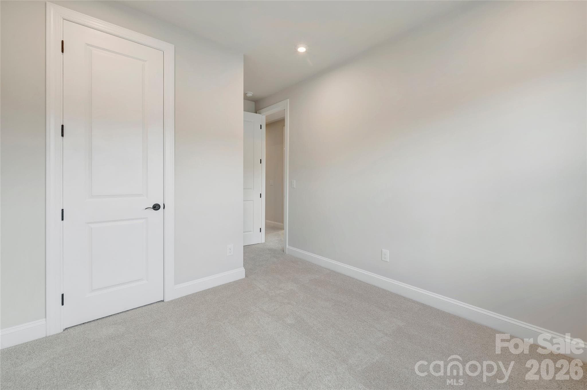 Primary bedroom entrance - 13023 Lucy Park Lane, Charlotte