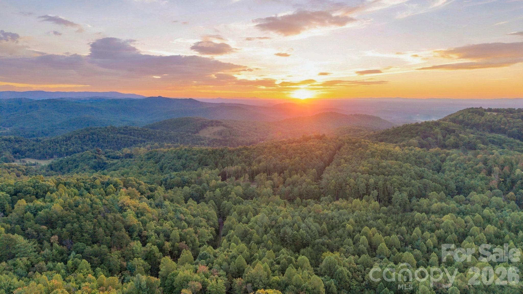 0000 Chestnut Grove Road
