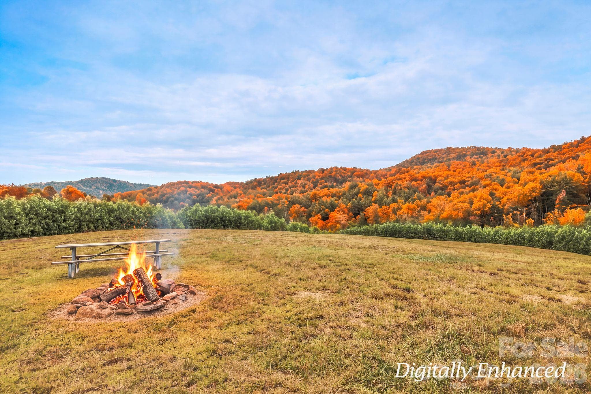 Acreage at 1177 Chestnut Grove Road, Millers Creek, photo 25 of 48