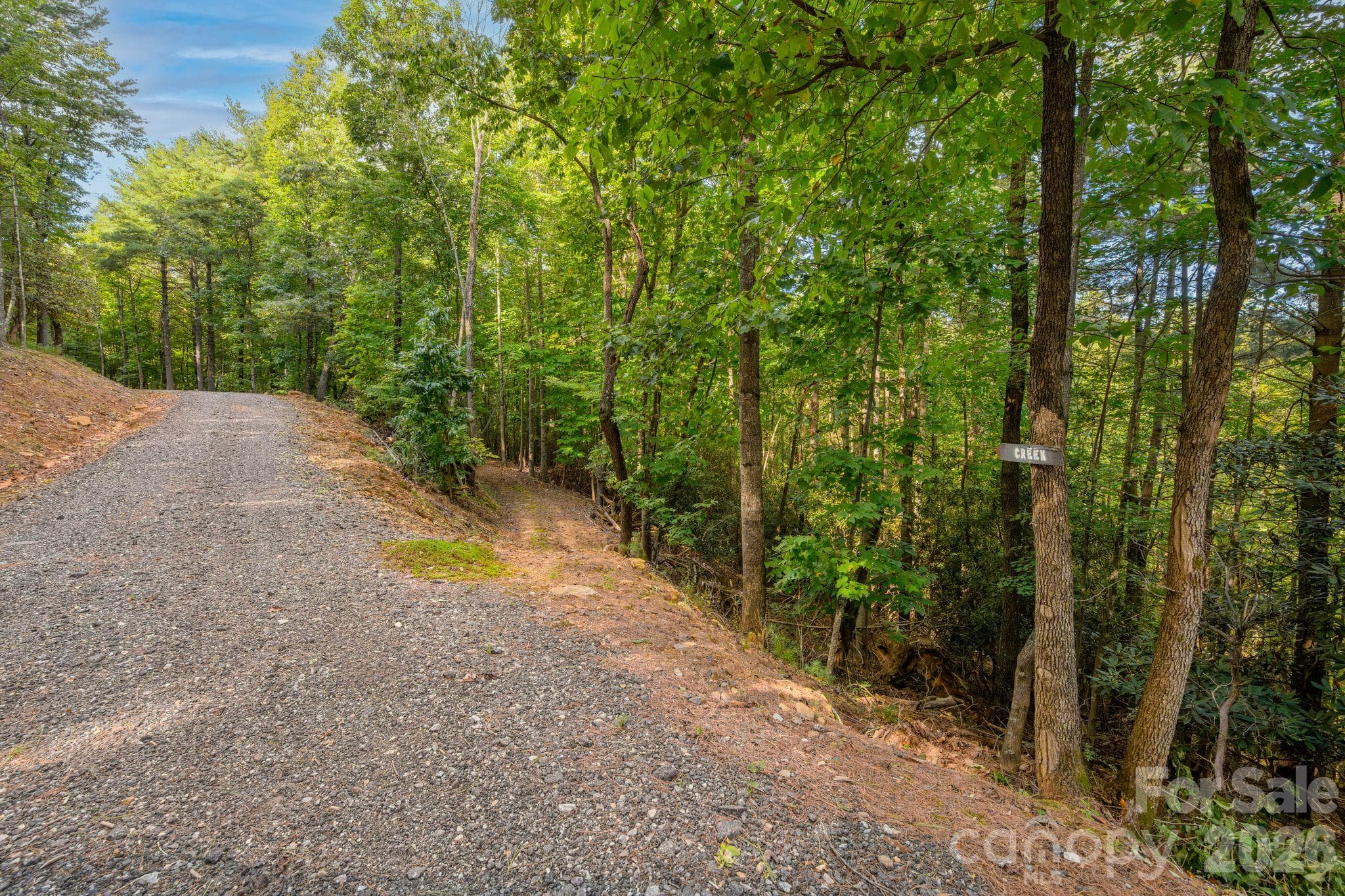 Acreage at 1177 Chestnut Grove Road, Millers Creek, photo 5 of 48
