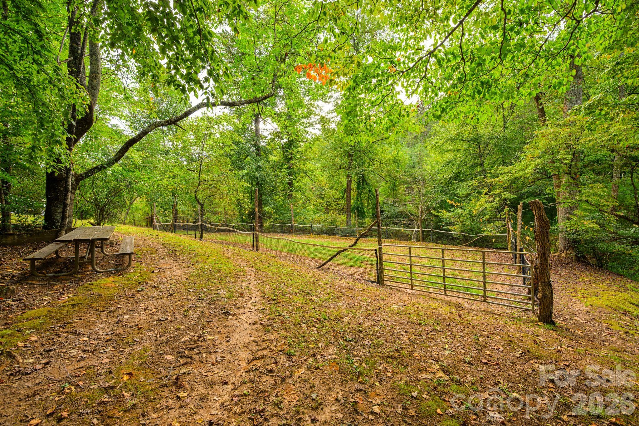 Acreage at 1177 Chestnut Grove Road, Millers Creek, photo 30 of 48