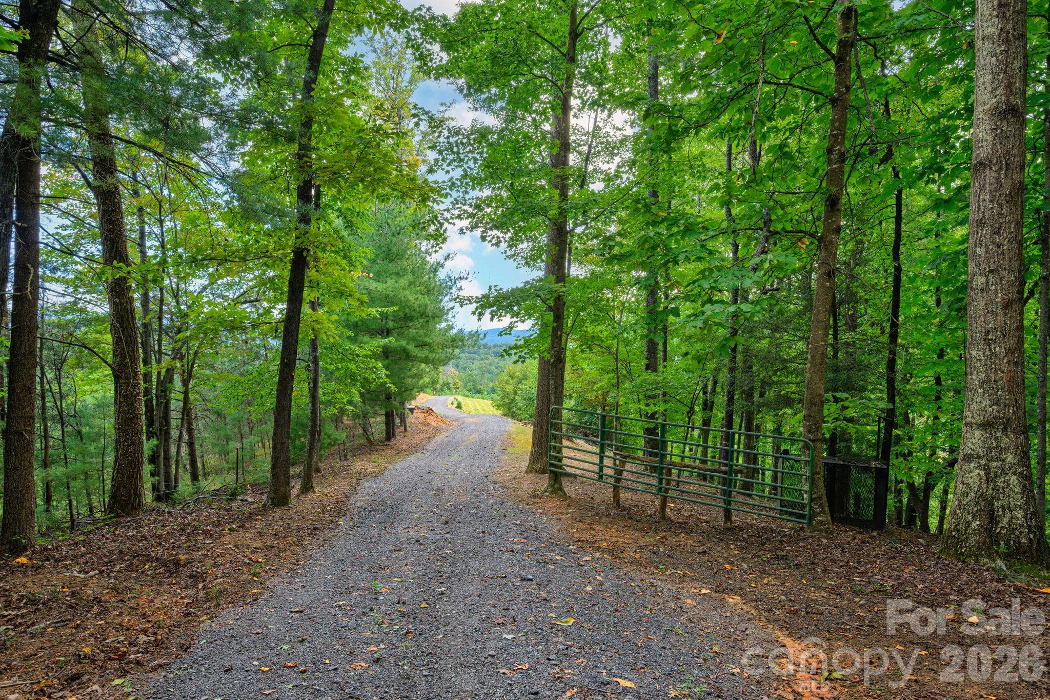 Acreage at 1177 Chestnut Grove Road, Millers Creek, photo 11 of 48