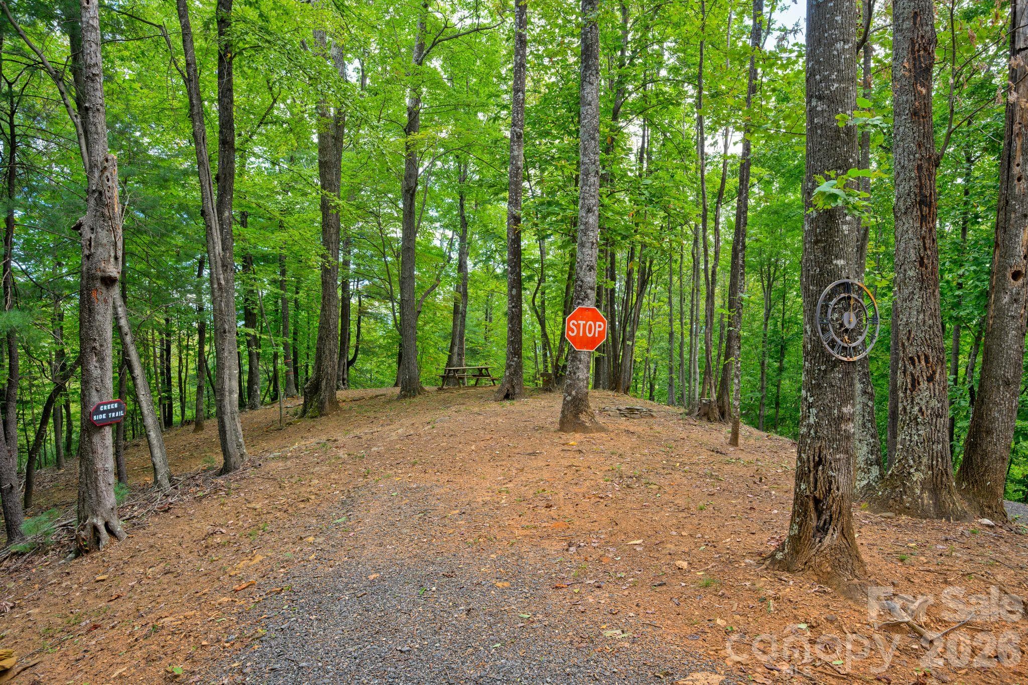 Acreage at 1177 Chestnut Grove Road, Millers Creek, photo 34 of 48