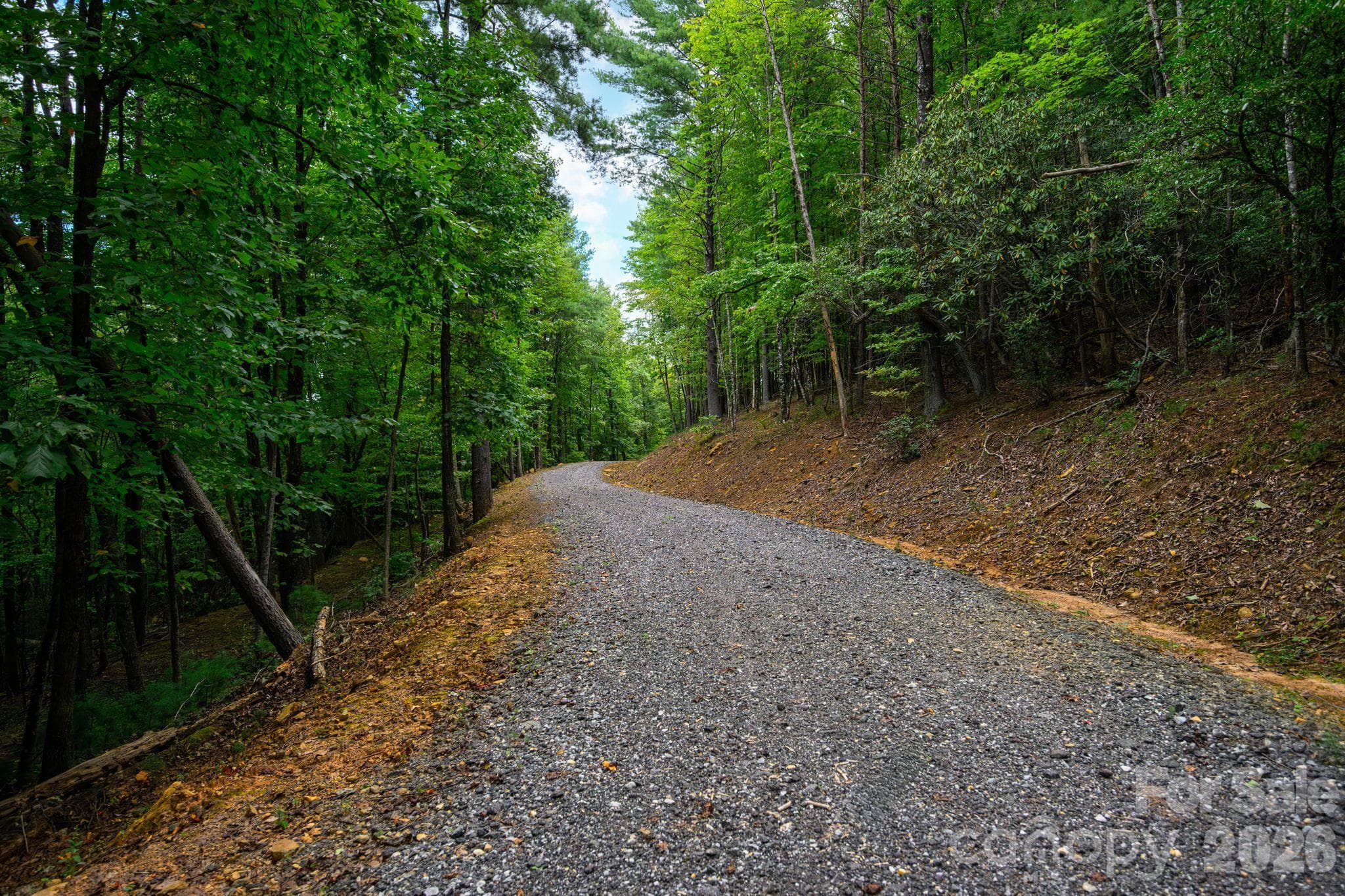 Acreage at 1177 Chestnut Grove Road, Millers Creek, photo 35 of 48