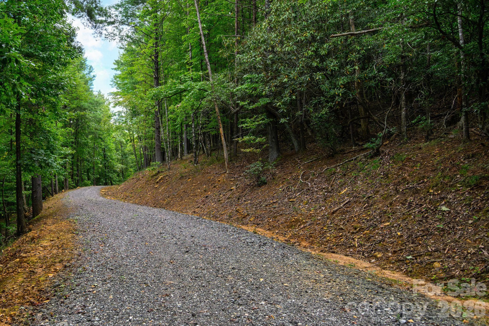 Acreage at 1177 Chestnut Grove Road, Millers Creek, photo 16 of 48