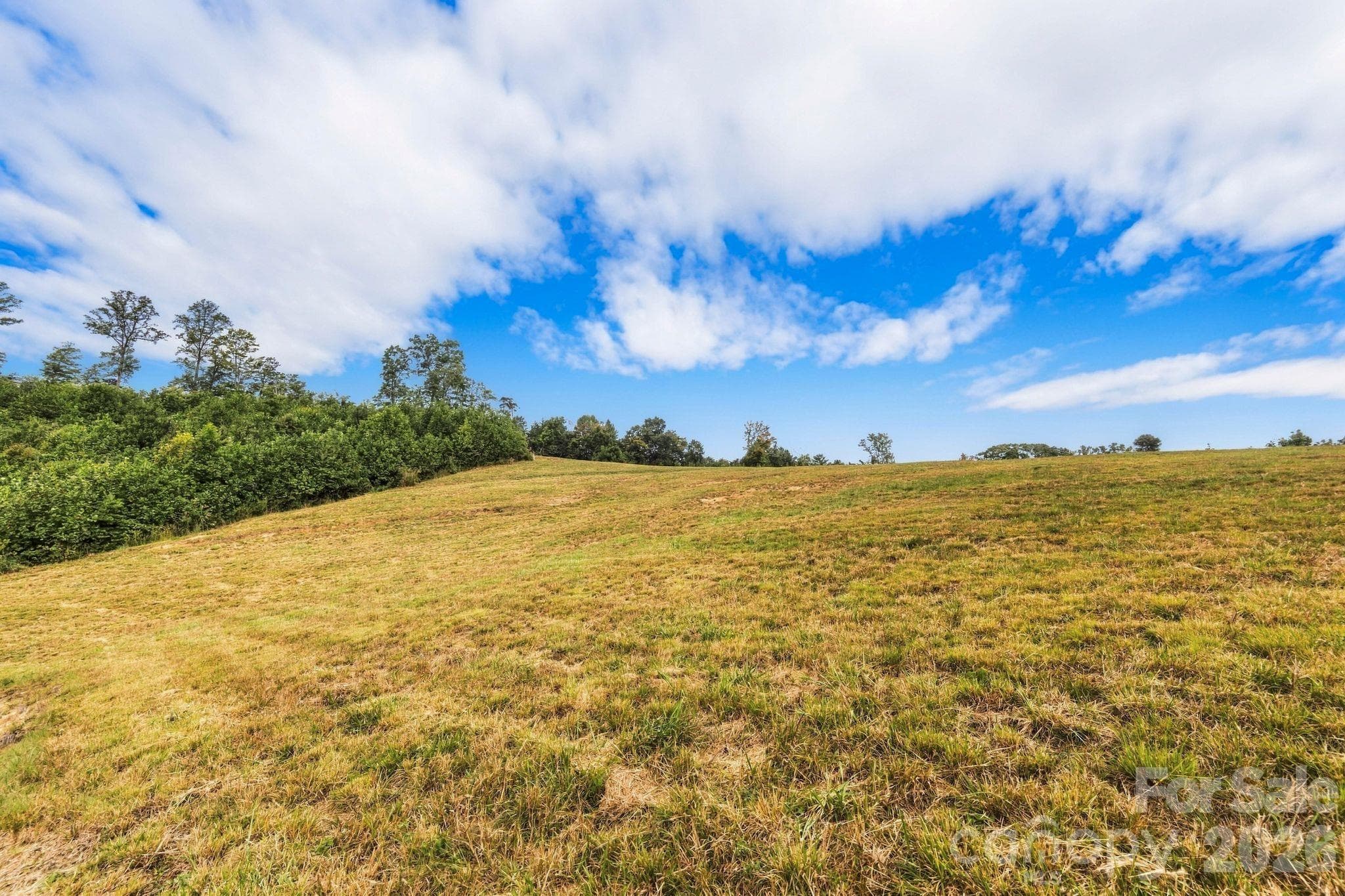 Acreage at 1177 Chestnut Grove Road, Millers Creek, photo 10 of 48