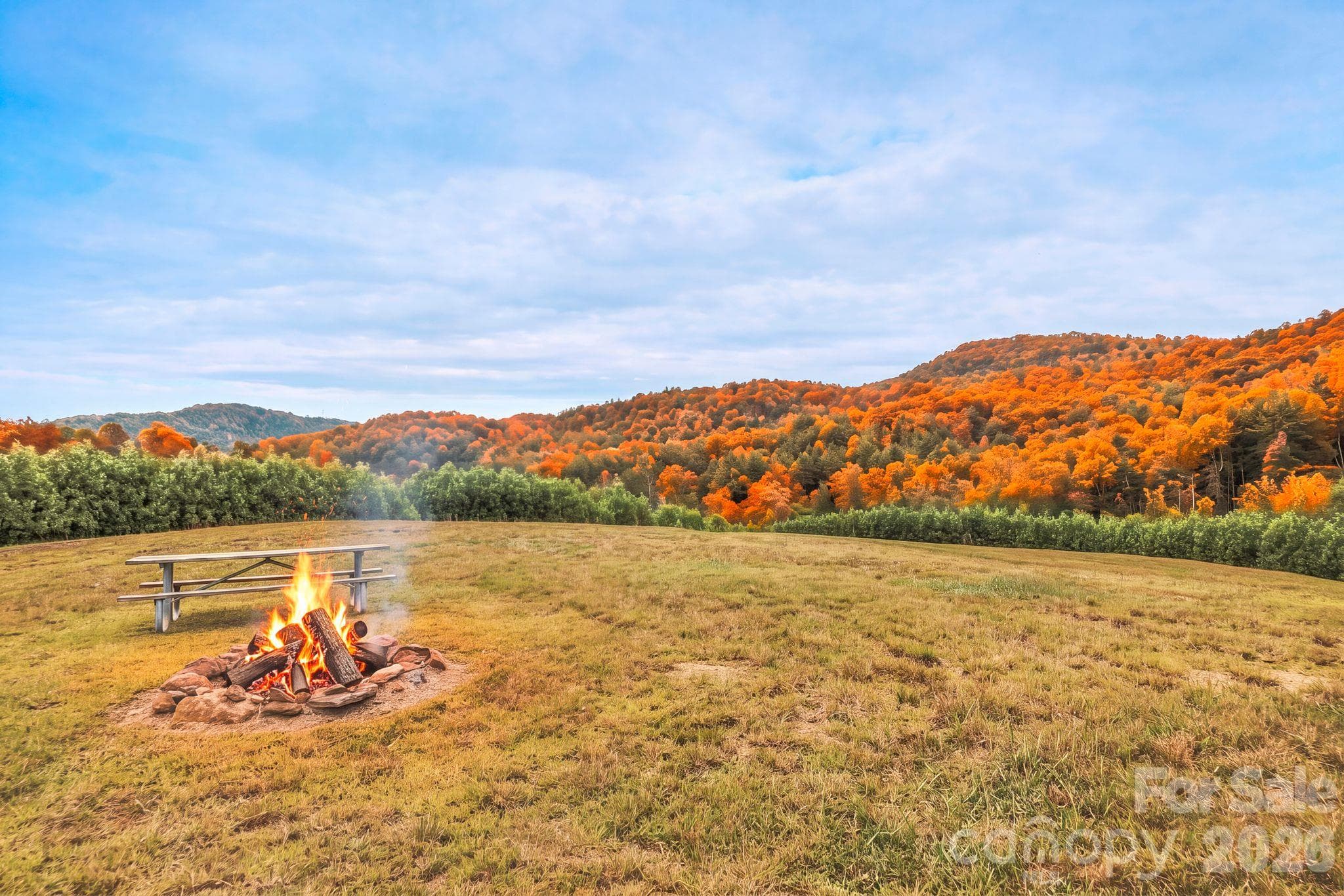 Acreage at 1177 Chestnut Grove Road, Millers Creek, photo 13 of 48