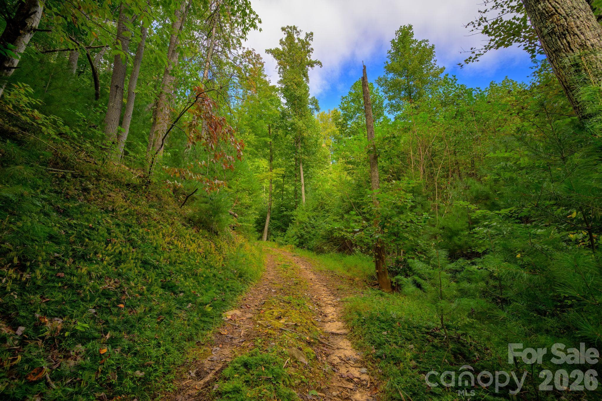 Acreage at 1177 Chestnut Grove Road, Millers Creek, photo 45 of 48