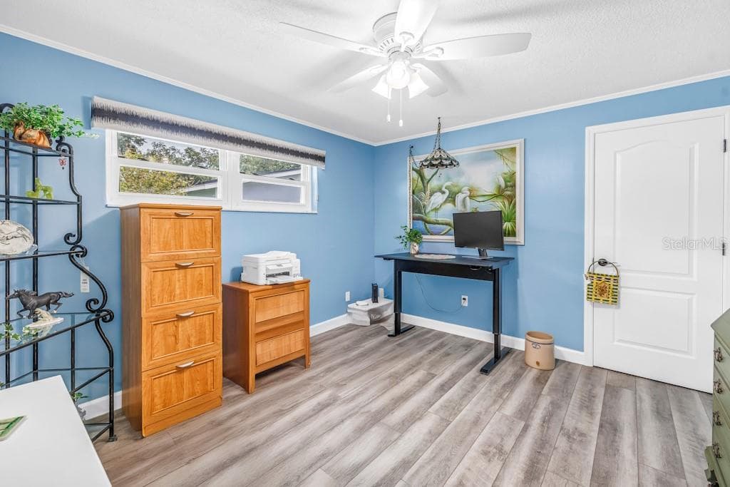 Single Family Residence at 731 OBERLIN DR, CLEARWATER, photo 26 of 31
