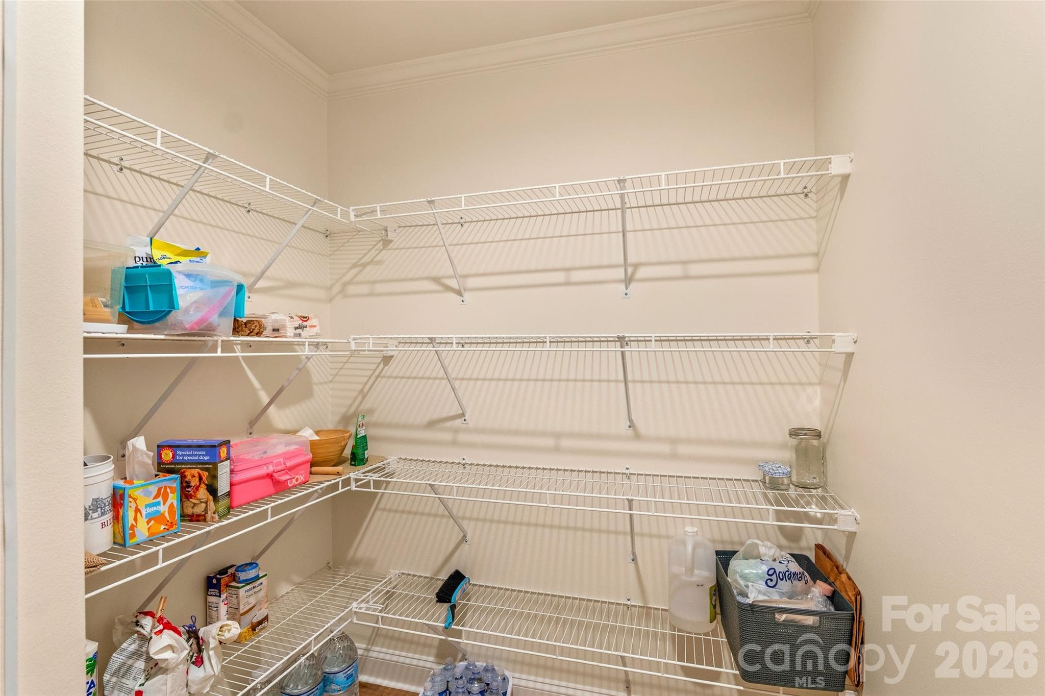 Walk-in pantry - 60 Spring Mountain Drive, Canton