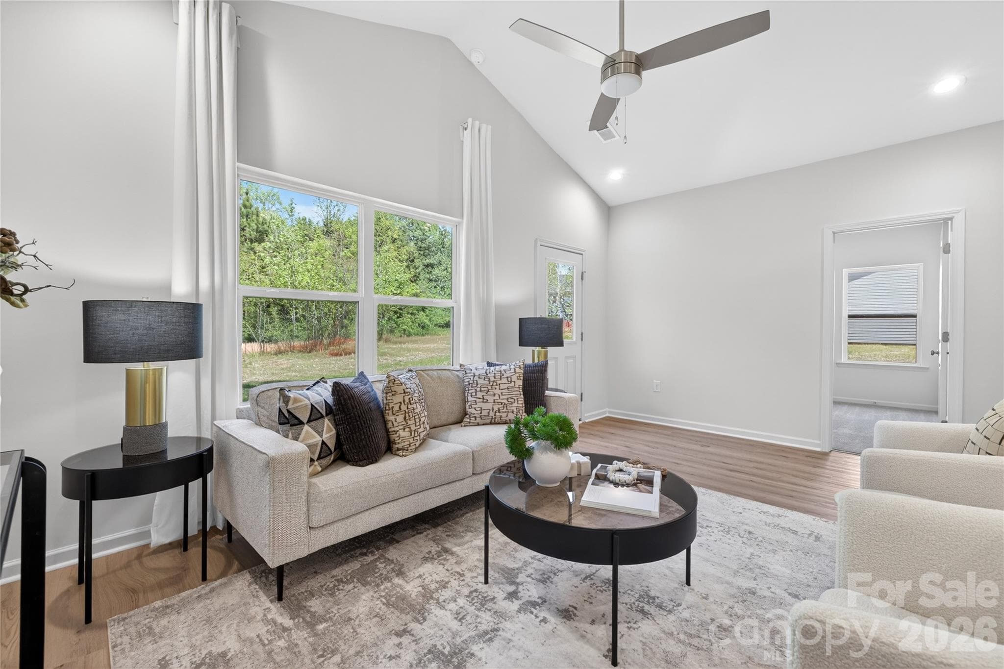 Representation - 1009 E Catawba Street, Lincolnton