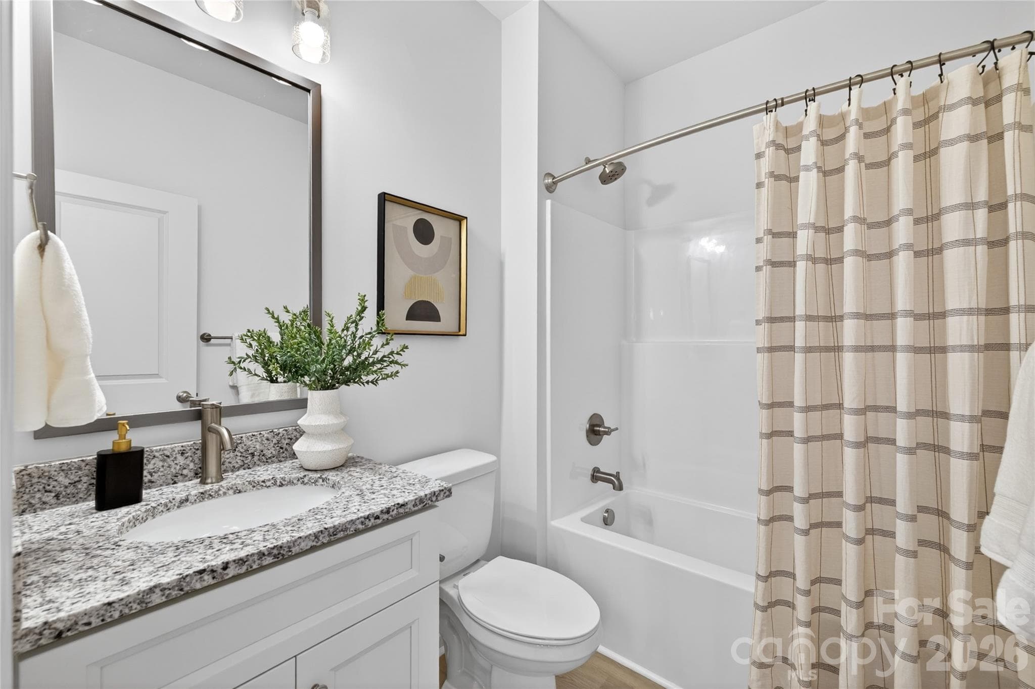 Representation - 1009 E Catawba Street, Lincolnton