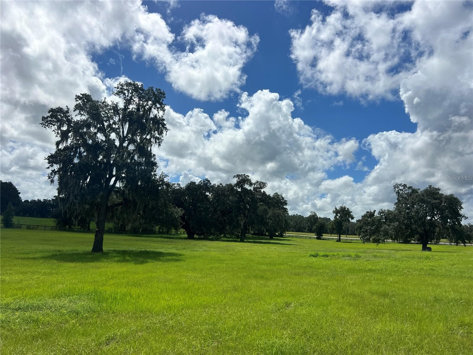 Land at TBD NW 464B HWY, MORRISTON, photo 5 of 11