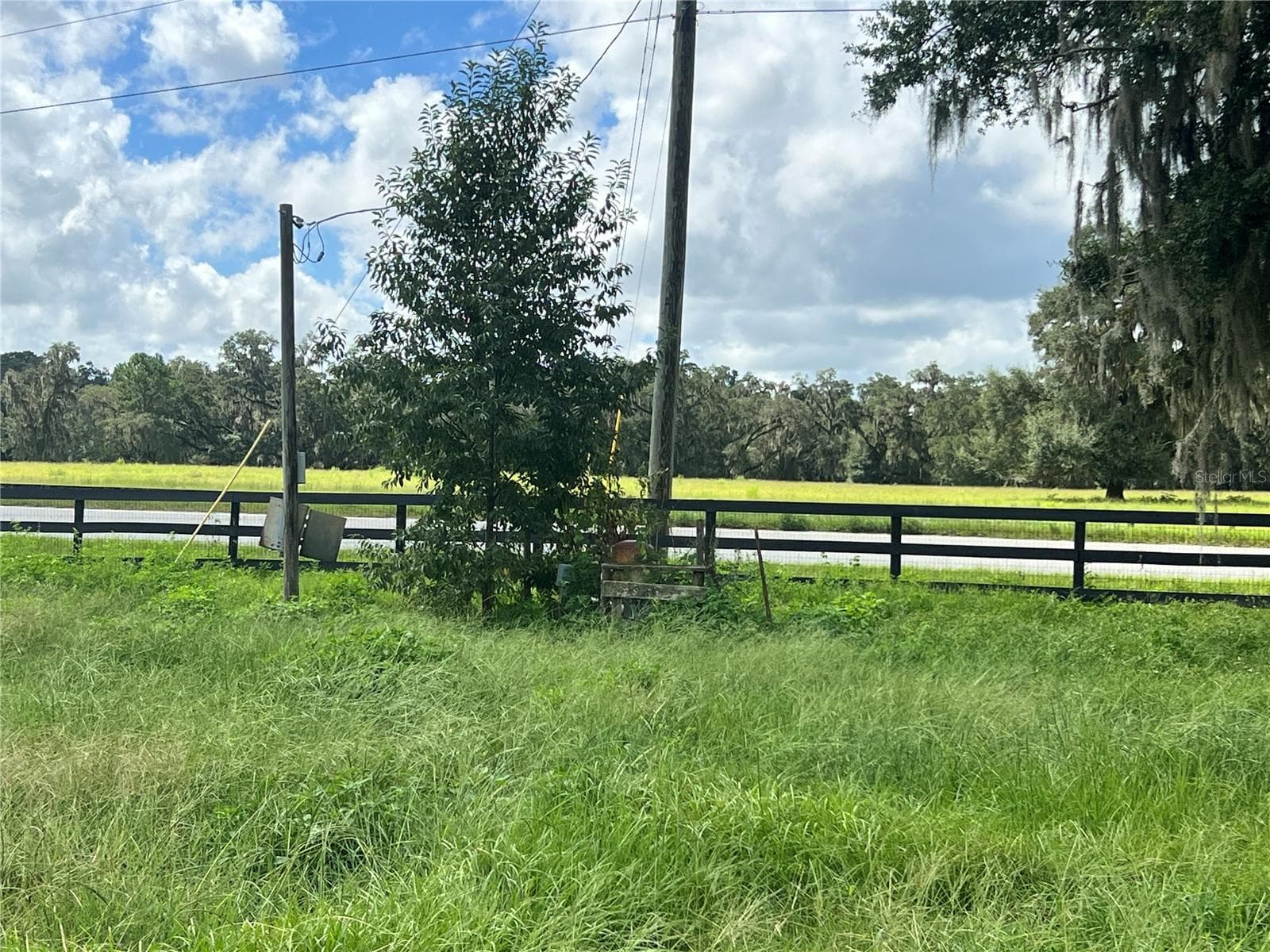 Land at TBD NW 464B HWY, MORRISTON, photo 6 of 11