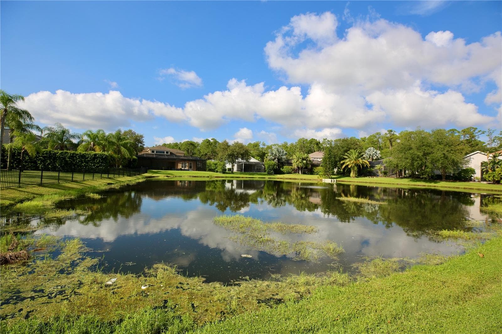 Pond View - 14824 TUDOR CHASE DR, TAMPA