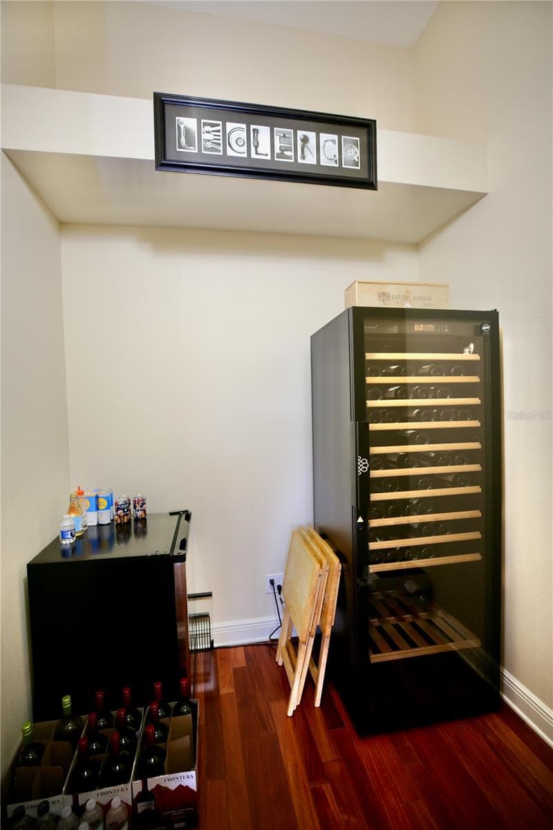 *Bonus Room for your Wine & Beverages - 14824 TUDOR CHASE DR, TAMPA