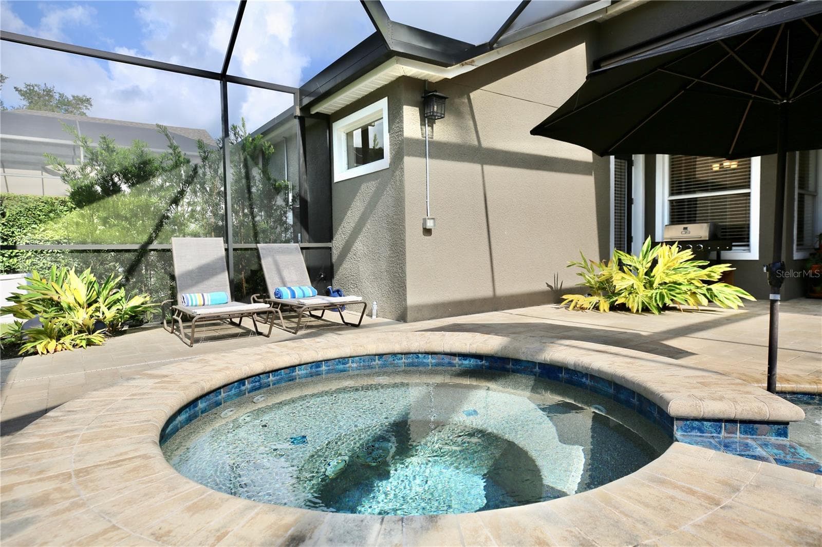 Spa - 14824 TUDOR CHASE DR, TAMPA