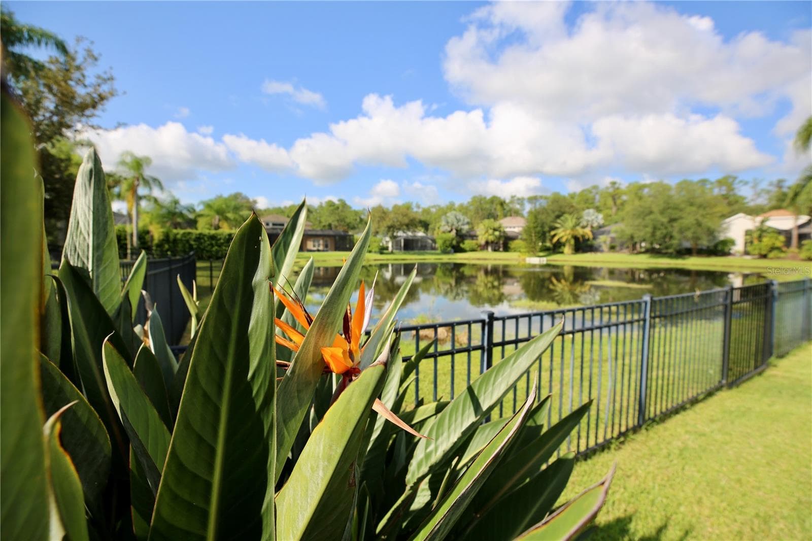 Single Family Residence at 14824 TUDOR CHASE DR, TAMPA, photo 68 of 70