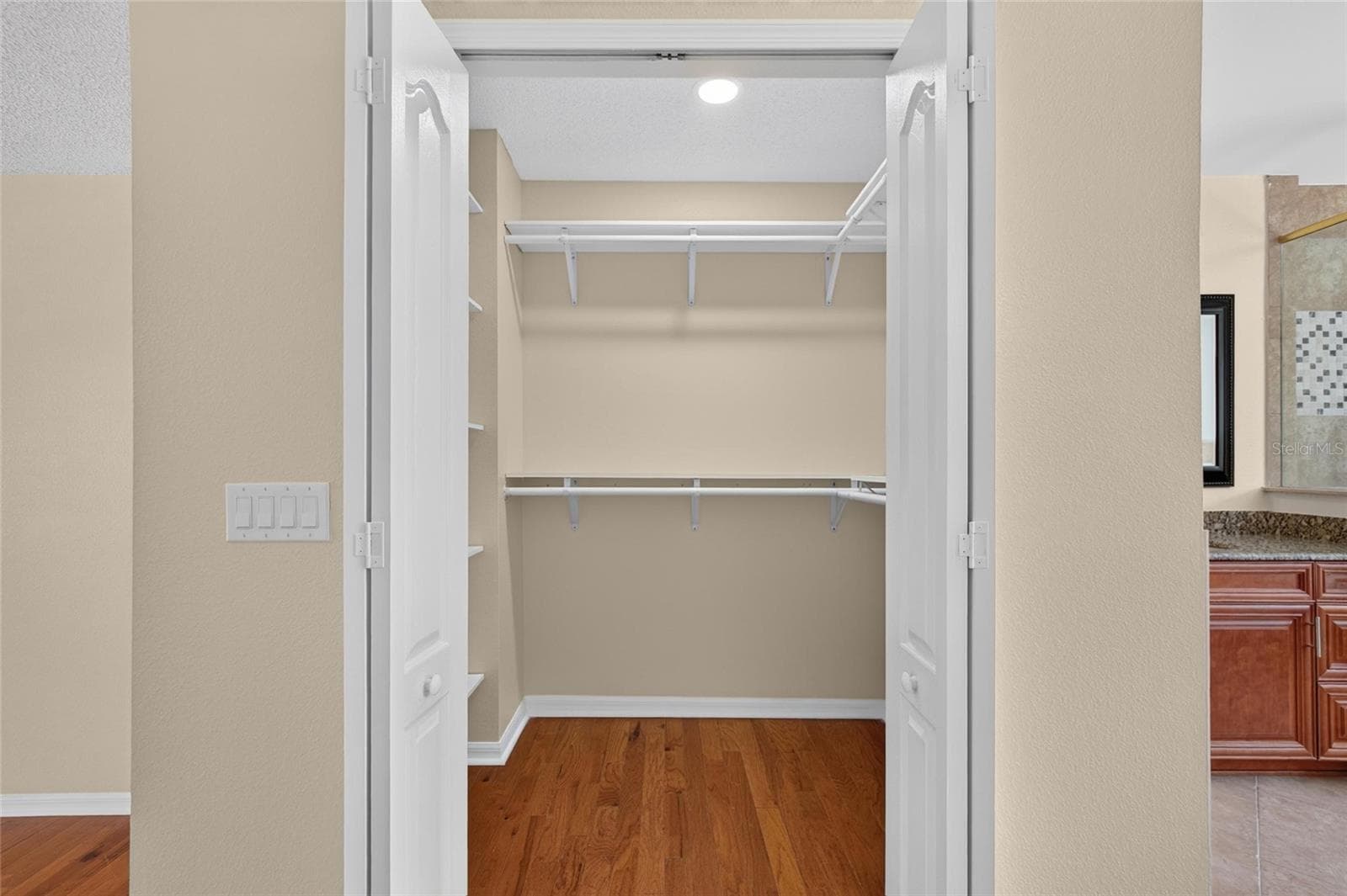 his closet - 9110 ROCKROSE DR, TAMPA