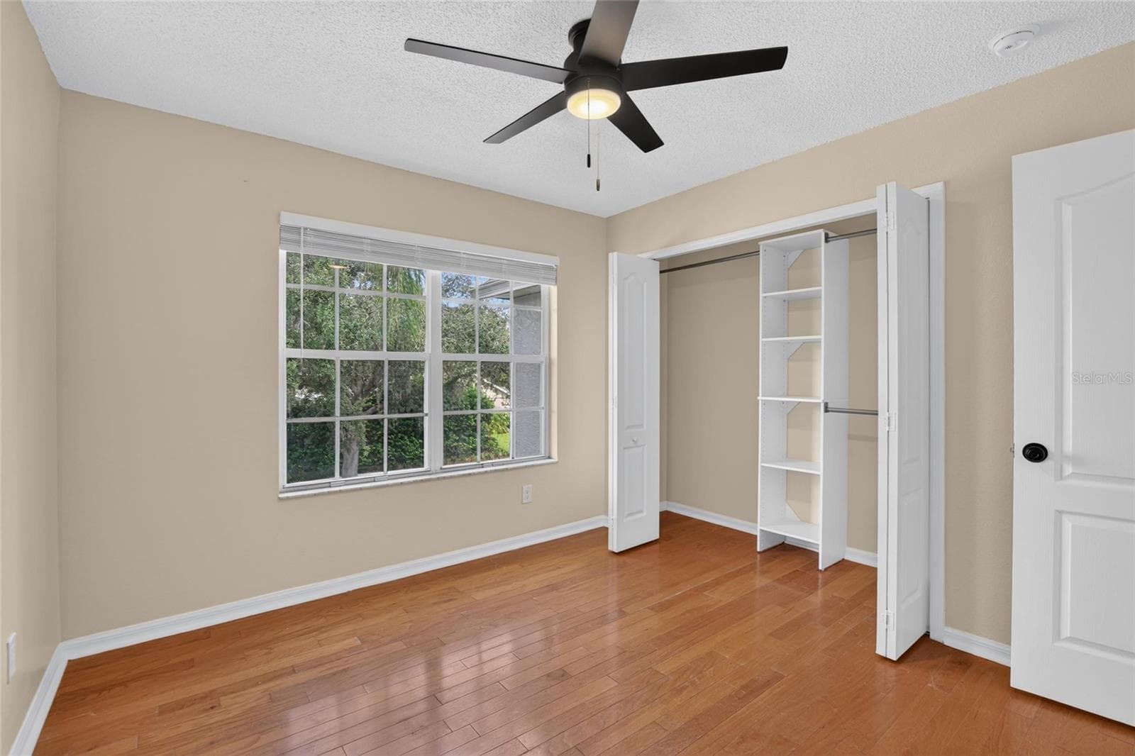 bedroom 2 - 9110 ROCKROSE DR, TAMPA