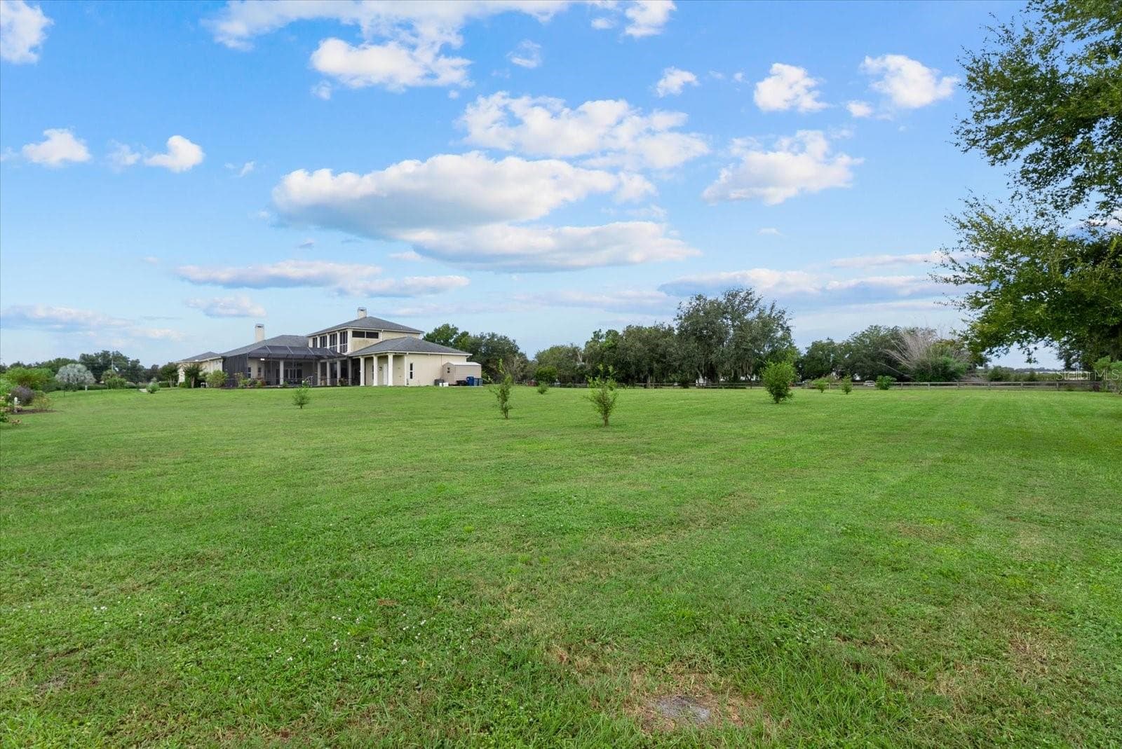 The back of the front pasture looking towards the house - 520 RYE RD NE, BRADENTON