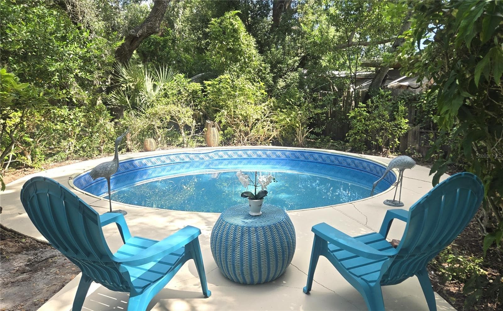 Charming Sun Deck with Privacy and Lush Landscaping - 1721 DORCHESTER RD, CLEARWATER