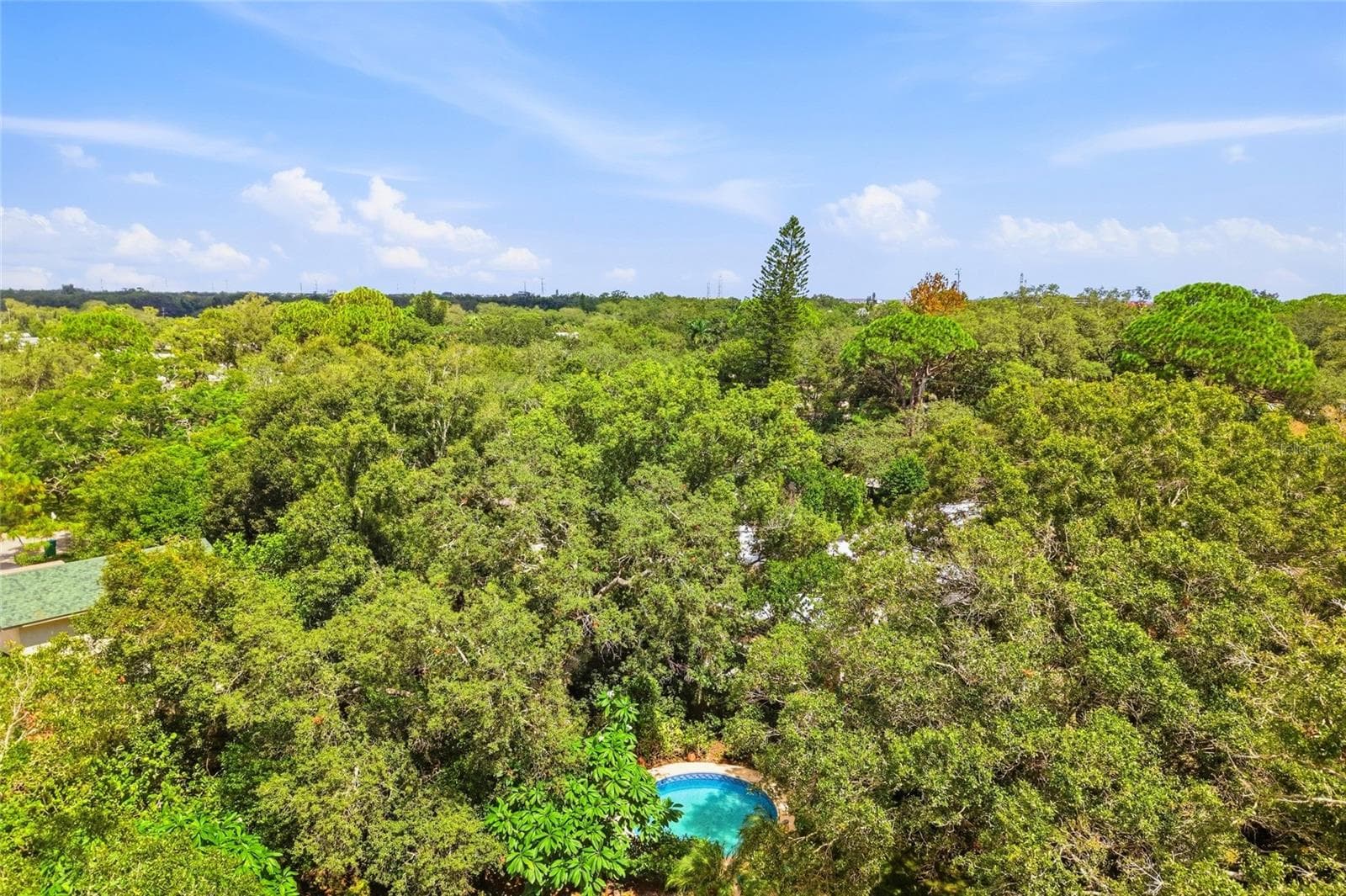 Lush, Tropical Landscaping Provides a Serene and Peaceful Setting! - 1721 DORCHESTER RD, CLEARWATER
