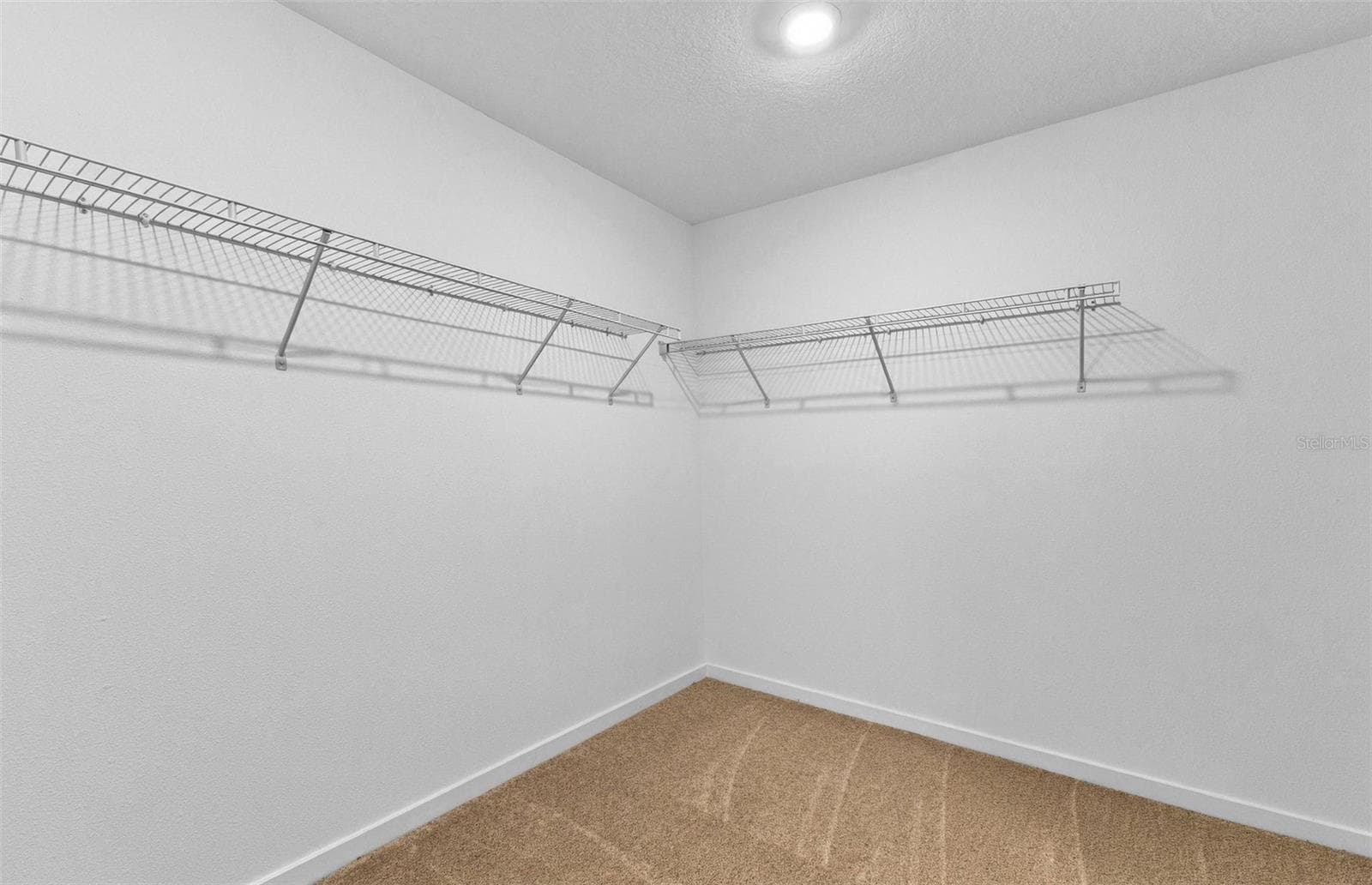 Owner's Walk-in Closet - 1543 HARTRIDGE CT, LAKE ALFRED