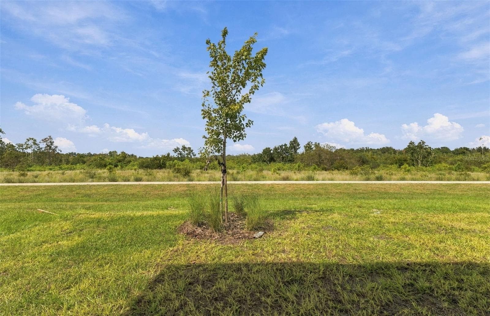 No rear Neighbors - 1719 RUBY LN, LAKE ALFRED