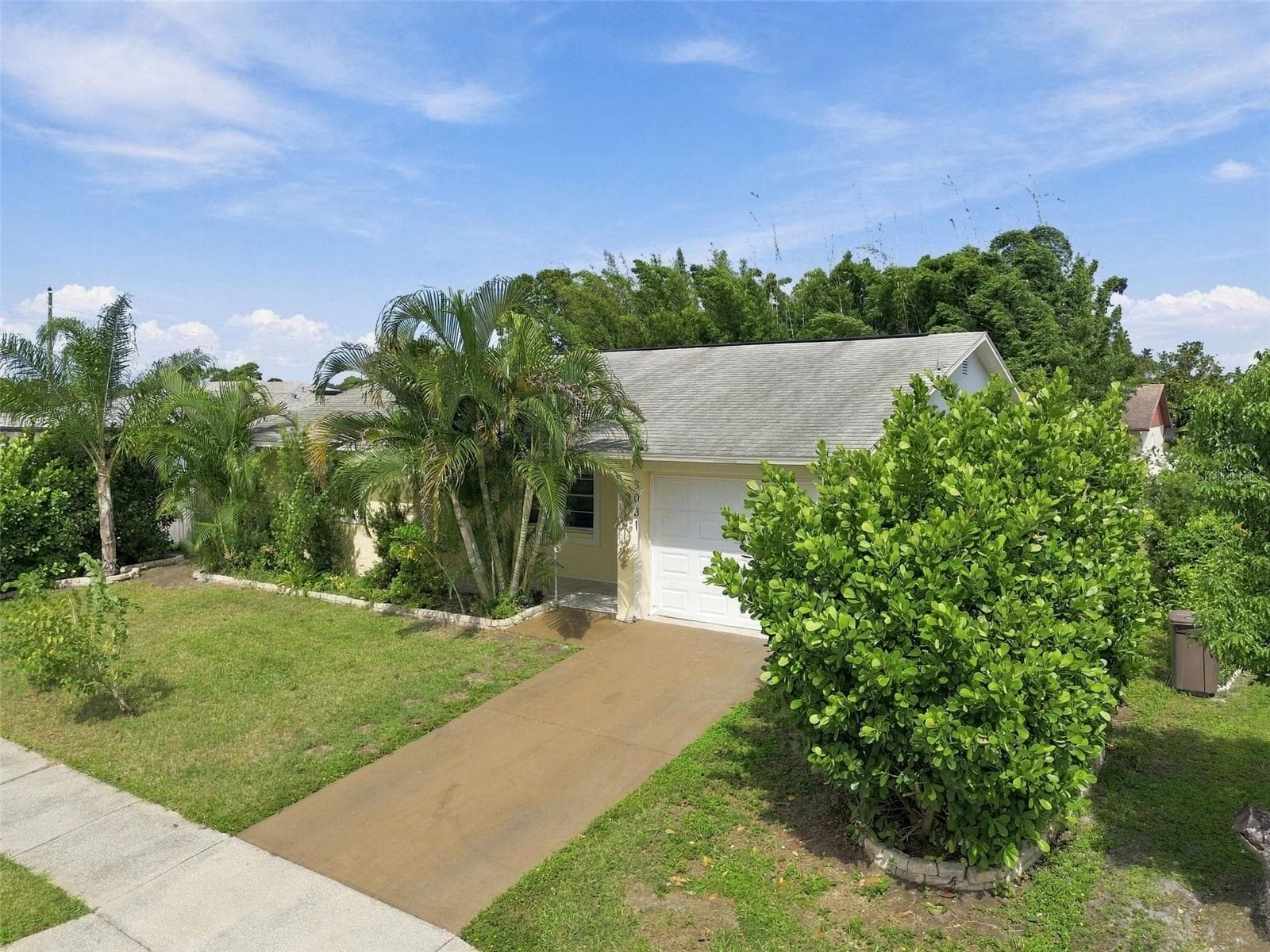 Single Family Residence at 3031 MUIR ST, HOLIDAY, photo 40 of 53