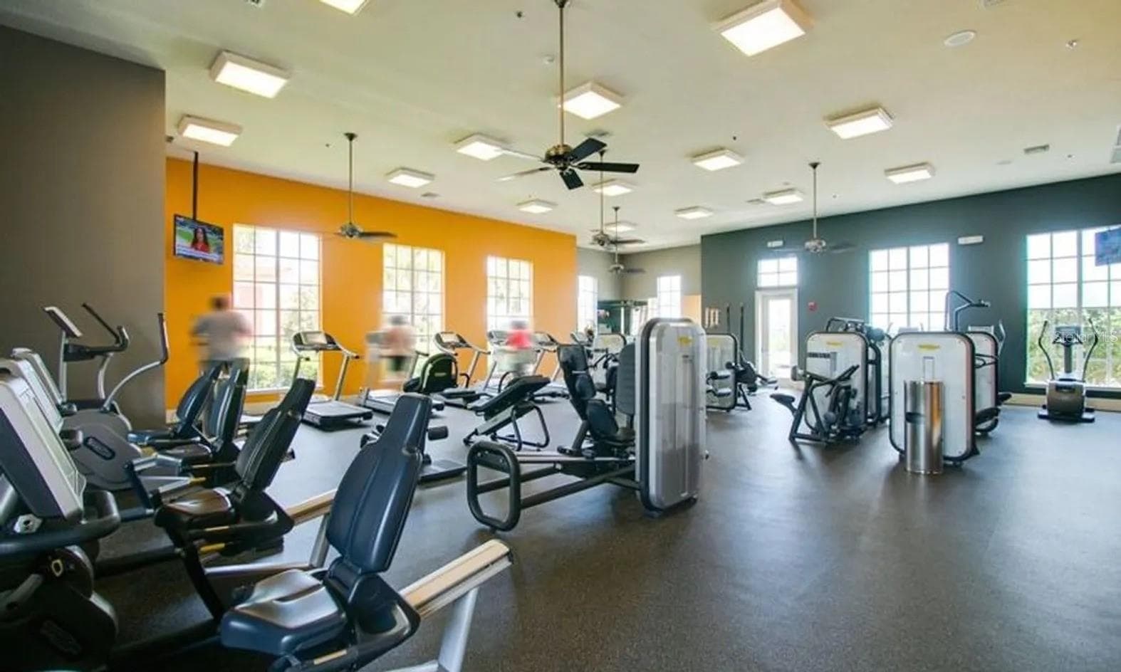 Athletic Club - 771 ALCOVE DR, GROVELAND
