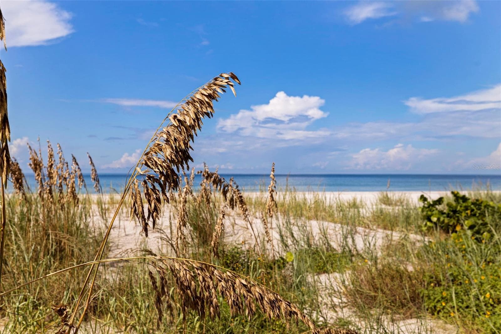Steps to the beach - 19616 GULF BLVD #302, INDIAN SHORES
