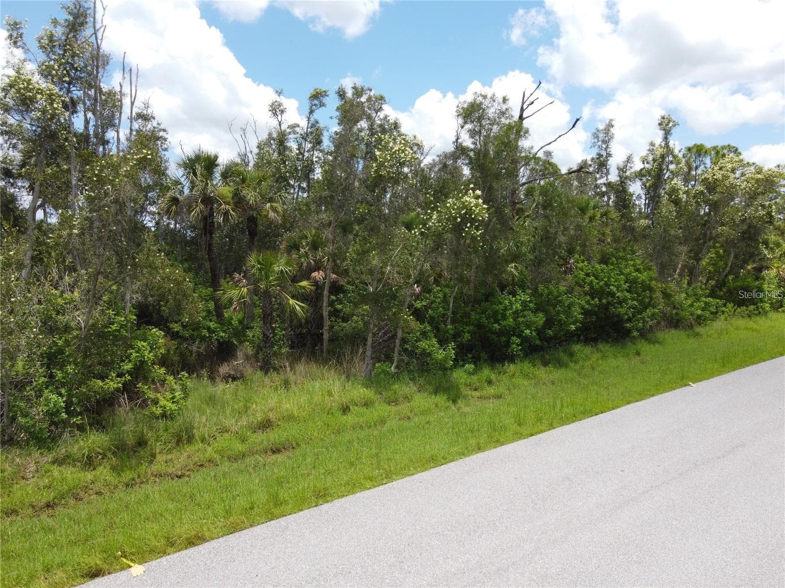 Land at 14120 MYAKKA AVE, PORT CHARLOTTE, photo 2 of 10