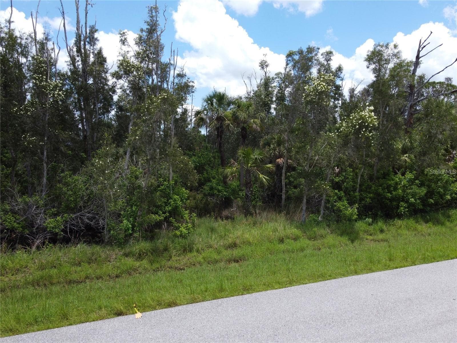 Land at 14120 MYAKKA AVE, PORT CHARLOTTE, photo 3 of 10
