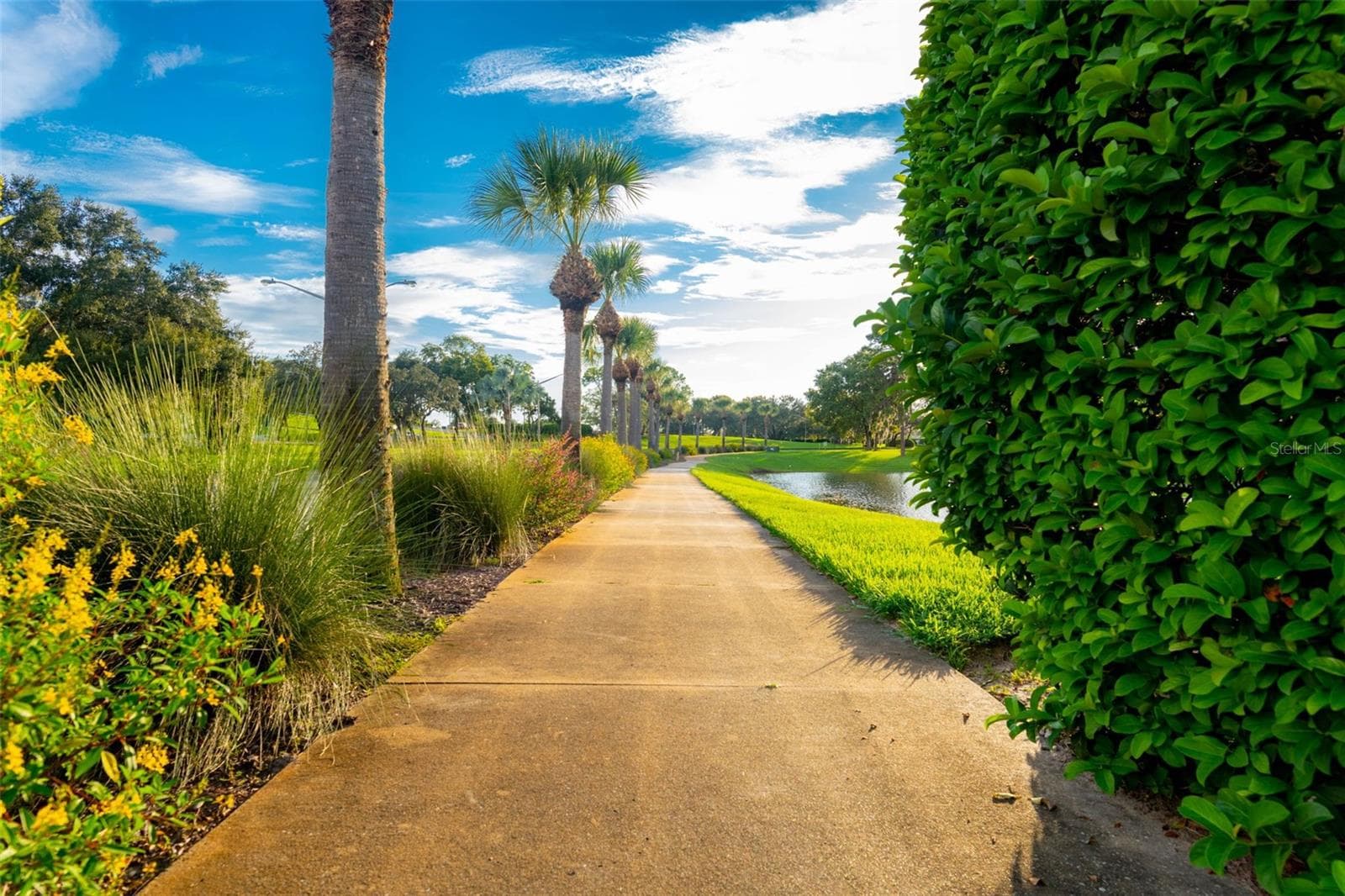Single Family Residence at 8952 MISSISSIPPI RUN, WEEKI WACHEE, photo 51 of 76