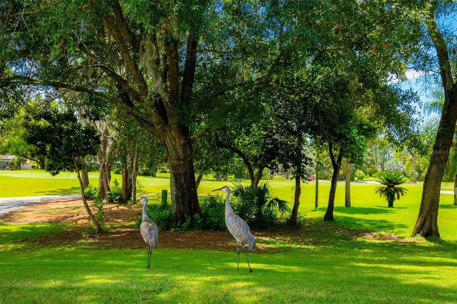 Single Family Residence at 8952 MISSISSIPPI RUN, WEEKI WACHEE, photo 59 of 76