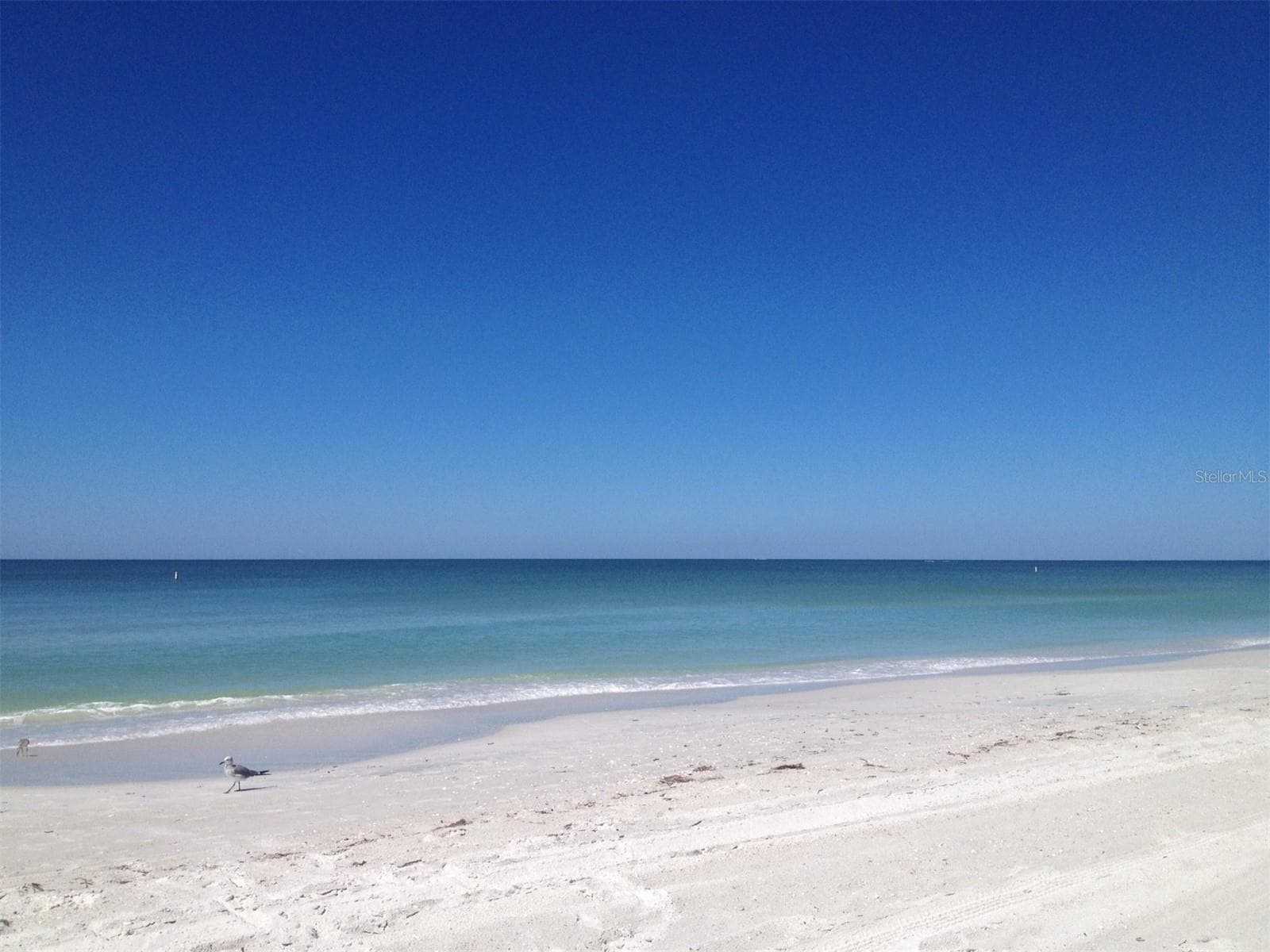 Beach!! - 10355 PARADISE BLVD #208, TREASURE ISLAND