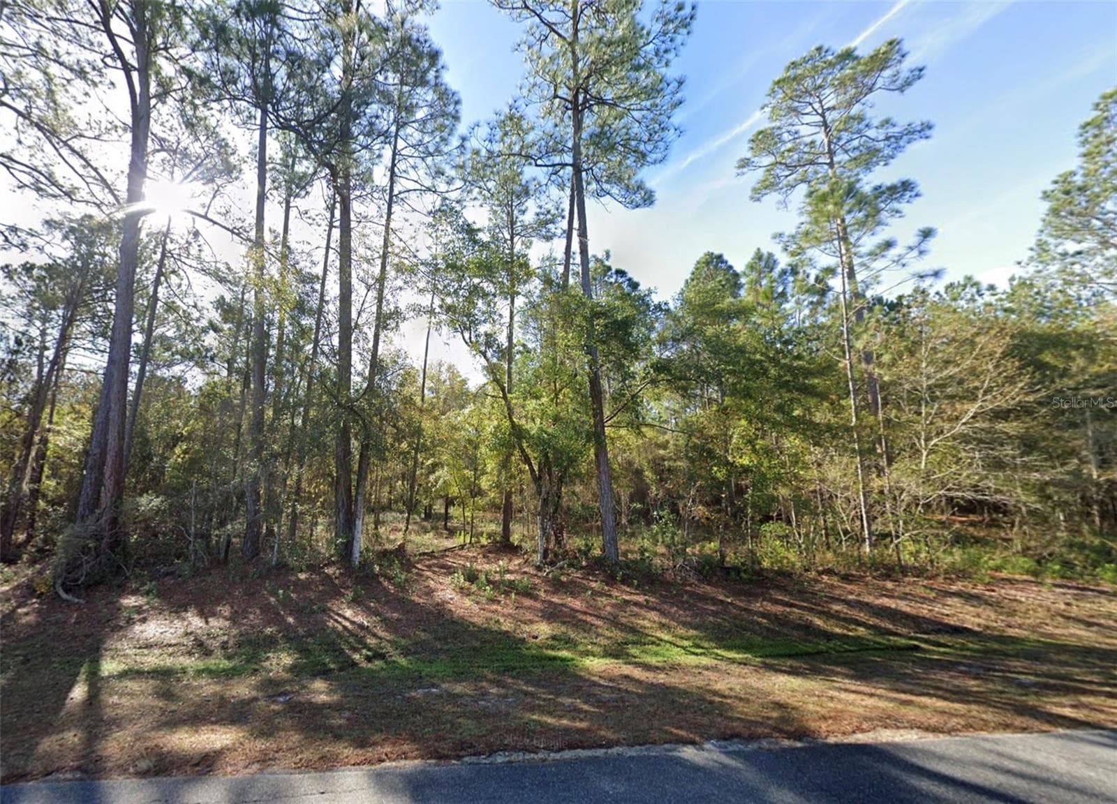 Land at 200 NW SCENIC LAKE DR, LAKE CITY, photo 2 of 5