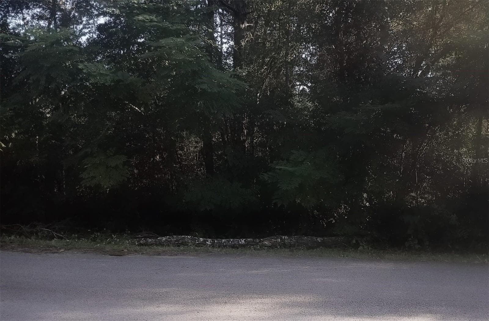 Land at 2728 E CENTER ST, INVERNESS, photo 2 of 3