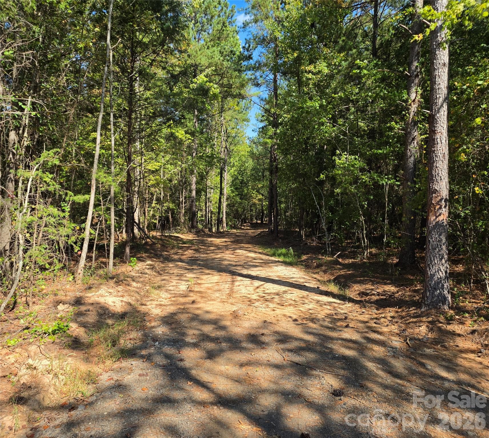 Driveway in - 552 Midway Road, Richburg