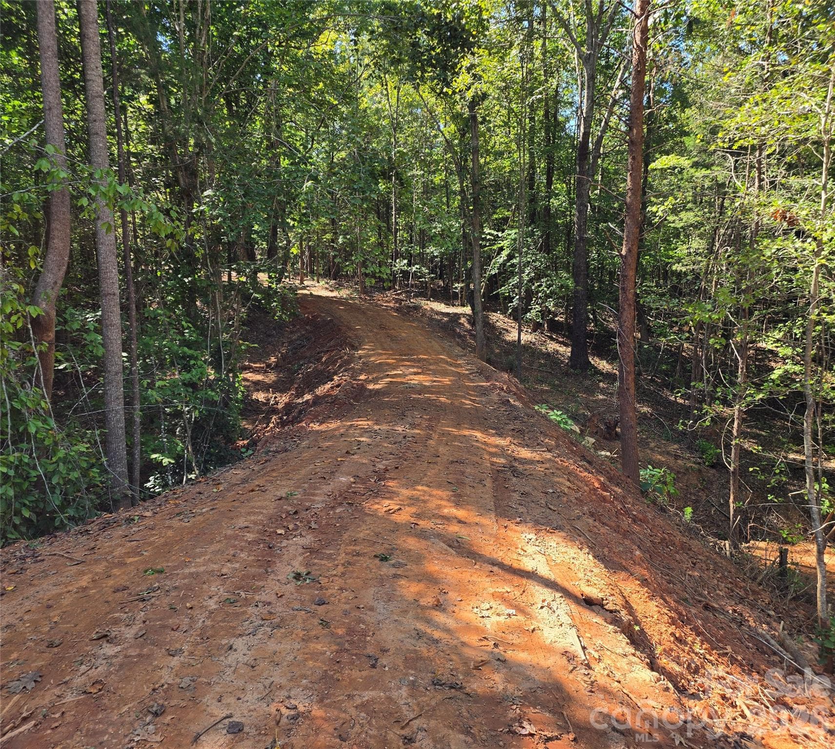 Driveway - 552 Midway Road, Richburg