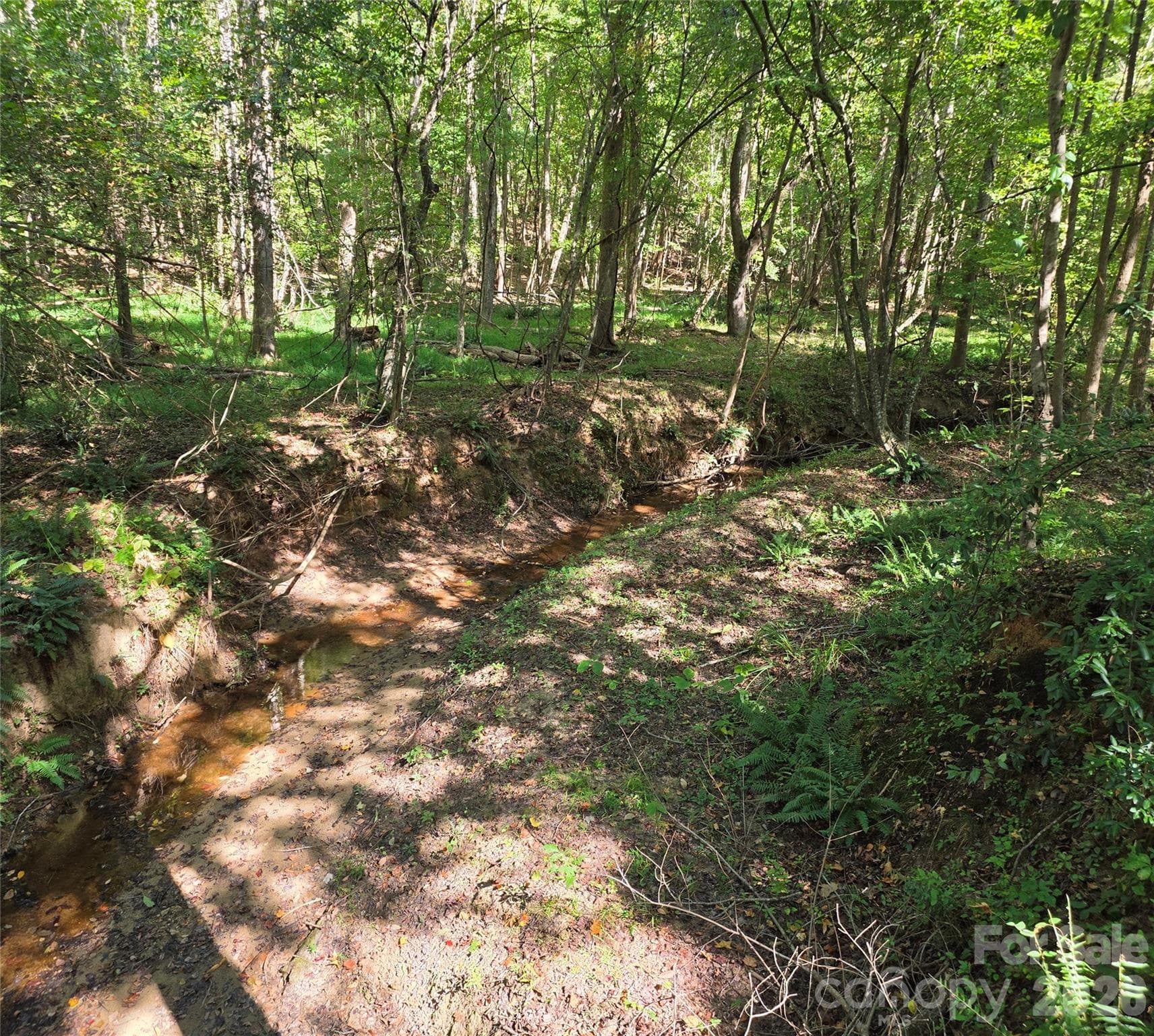 creek - 552 Midway Road, Richburg