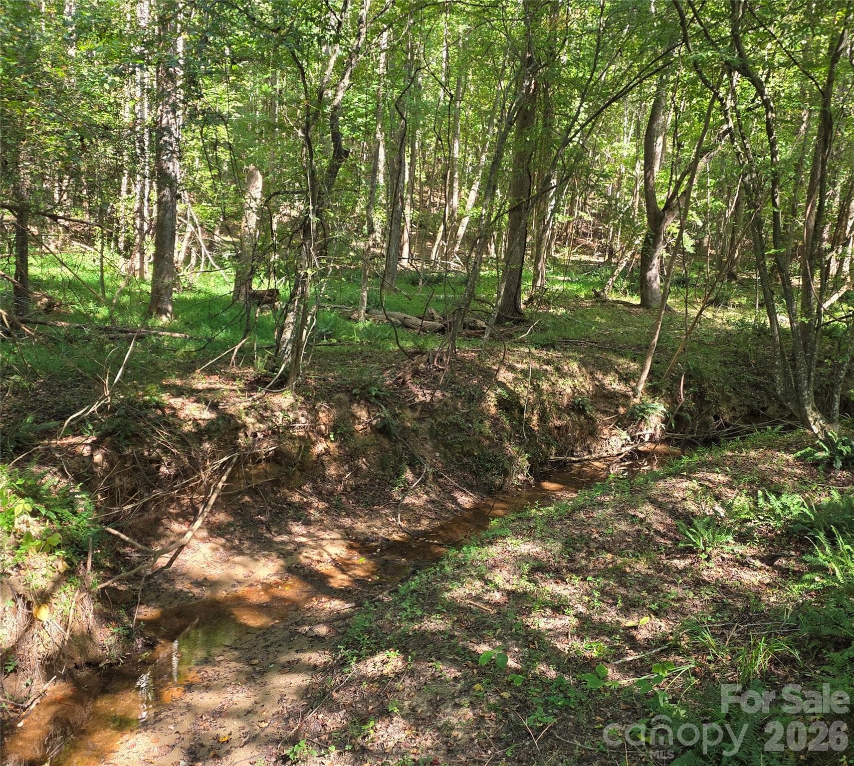 Creek - 552 Midway Road, Richburg