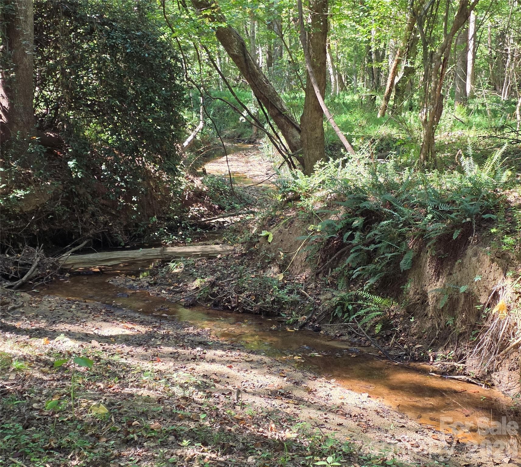 Creek - 552 Midway Road, Richburg