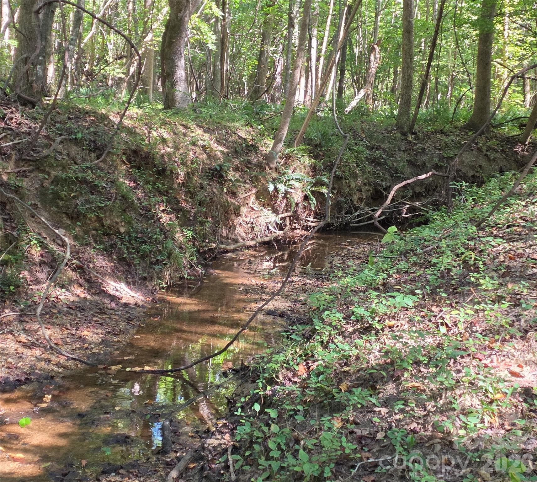 Creek - 552 Midway Road, Richburg