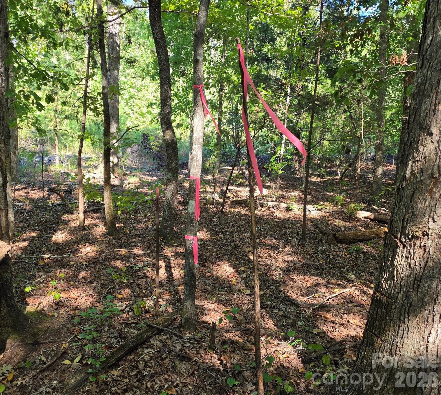 Rear Property boundary corner - 552 Midway Road, Richburg