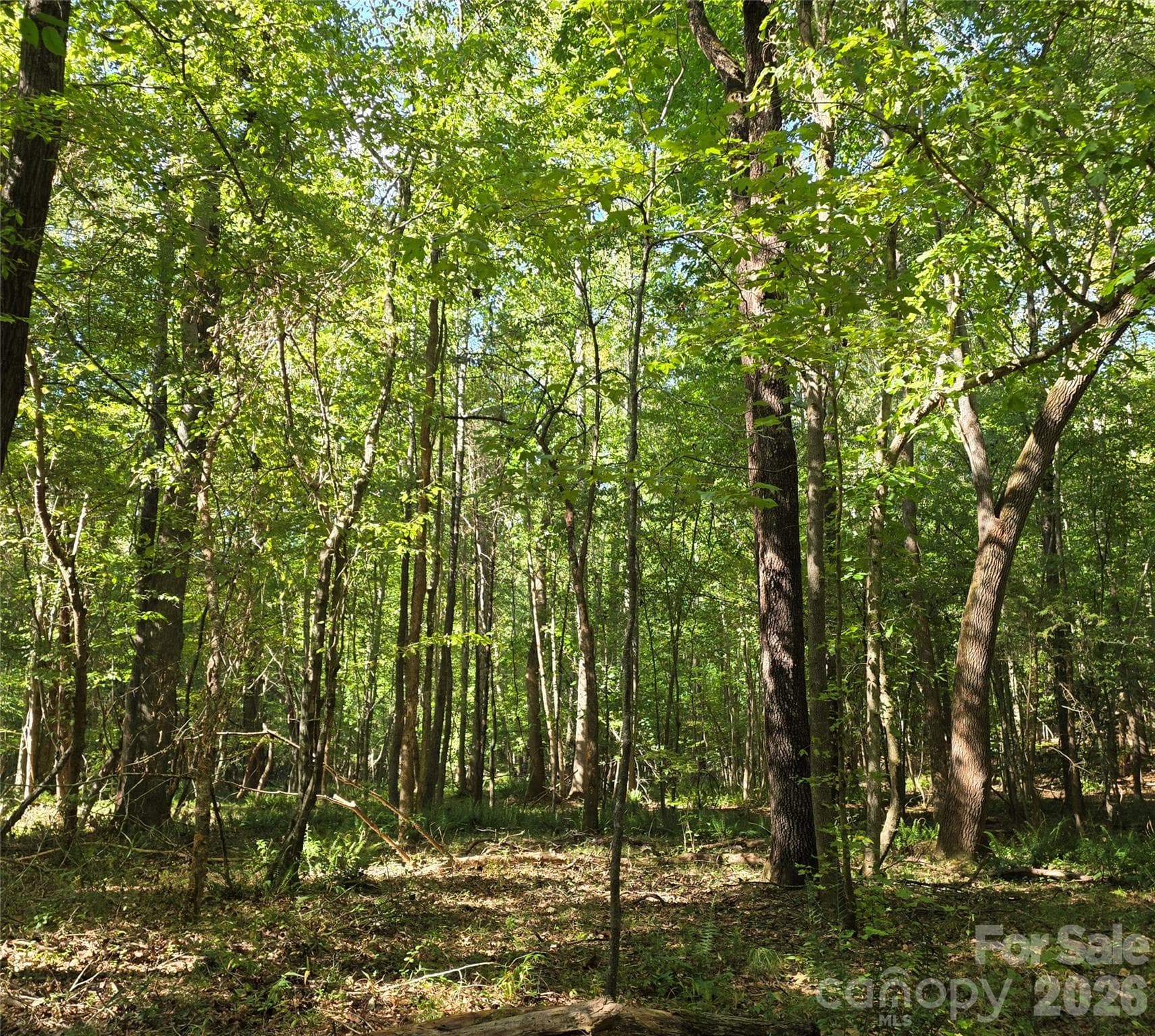 woods - 552 Midway Road, Richburg